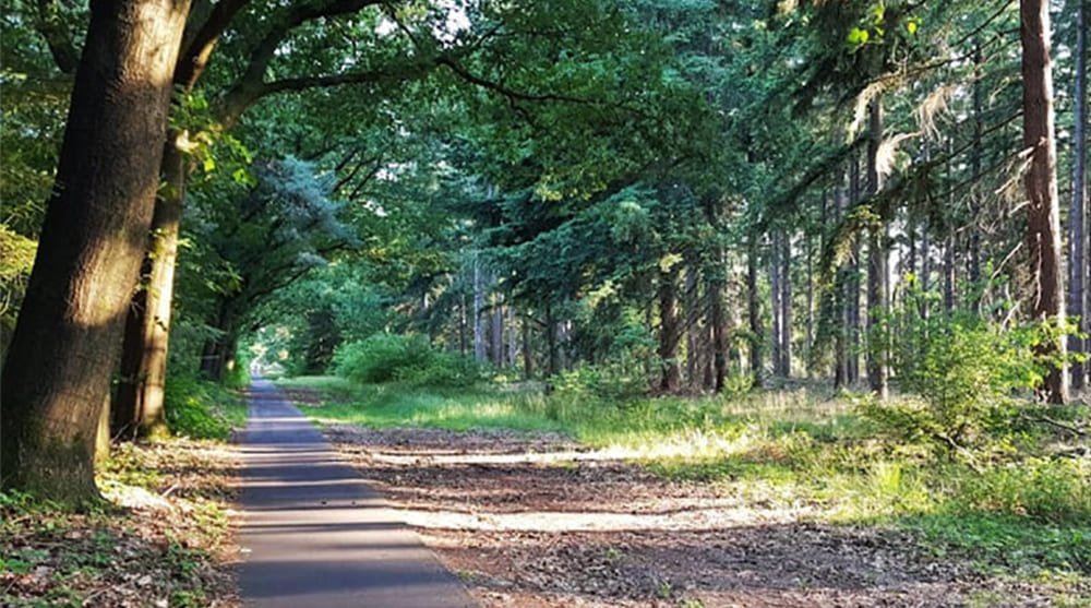 Oss Bijzonderheden De-Maashorst