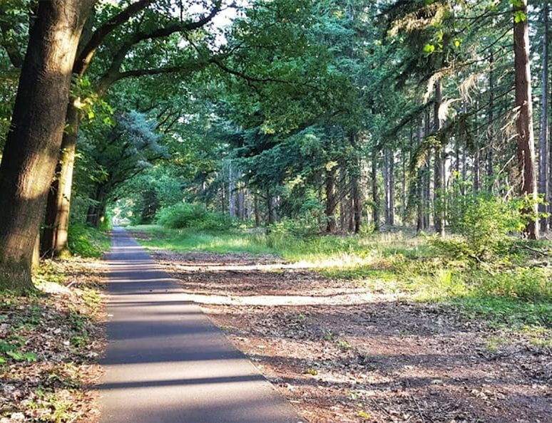 Oss Bijzonderheden De Maashorst